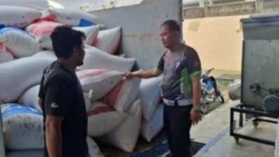 426,9 Ton Jagung dari Batubara Masuk Bulog Asahan