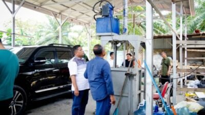 Budidaya Magot di Batubara Ubah Sampah Jadi Peluang Ekonomi