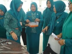 Rakornis TP PKK Kabupaten Asahan