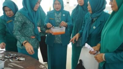 Rakornis TP PKK Kabupaten Asahan