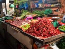 TPID Sumut Tekan Harga Cabai Merah dan Ayam di Medan