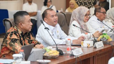 117 Lokasi Diusulkan, Pemprov Sumut Genjot Program Listrik Perdesaan